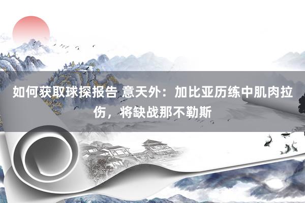 如何获取球探报告 意天外：加比亚历练中肌肉拉伤，将缺战那不勒斯