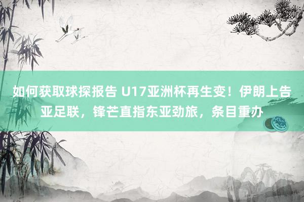 如何获取球探报告 U17亚洲杯再生变！伊朗上告亚足联，锋芒直指东亚劲旅，条目重办