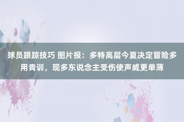 球员跟踪技巧 图片报：多特高层今夏决定冒险多用青训，现多东说念主受伤使声威更单薄