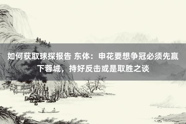 如何获取球探报告 东体：申花要想争冠必须先赢下蓉城，持好反击或是取胜之谈