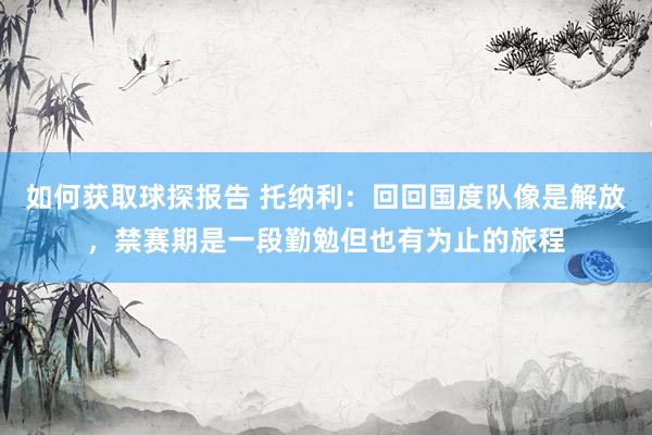 如何获取球探报告 托纳利：回回国度队像是解放，禁赛期是一段勤勉但也有为止的旅程