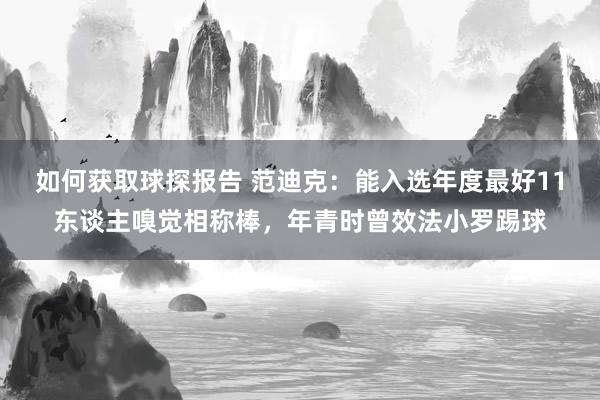 如何获取球探报告 范迪克：能入选年度最好11东谈主嗅觉相称棒，年青时曾效法小罗踢球