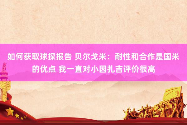 如何获取球探报告 贝尔戈米：耐性和合作是国米的优点 我一直对小因扎吉评价很高