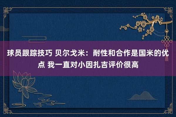 球员跟踪技巧 贝尔戈米：耐性和合作是国米的优点 我一直对小因扎吉评价很高