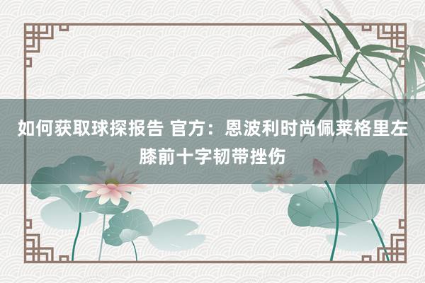 如何获取球探报告 官方：恩波利时尚佩莱格里左膝前十字韧带挫伤