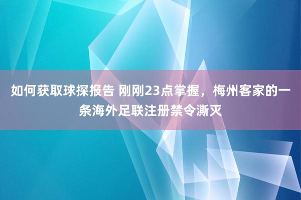 如何获取球探报告 刚刚23点掌握，梅州客家的一条海外足联注册禁令澌灭