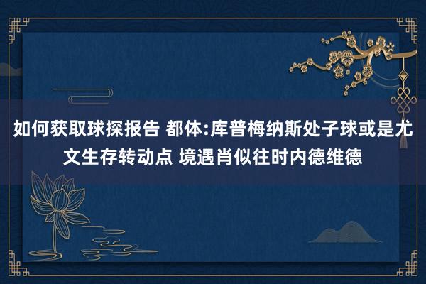 如何获取球探报告 都体:库普梅纳斯处子球或是尤文生存转动点 境遇肖似往时内德维德