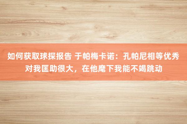 如何获取球探报告 于帕梅卡诺：孔帕尼相等优秀对我匡助很大，在他麾下我能不竭跳动