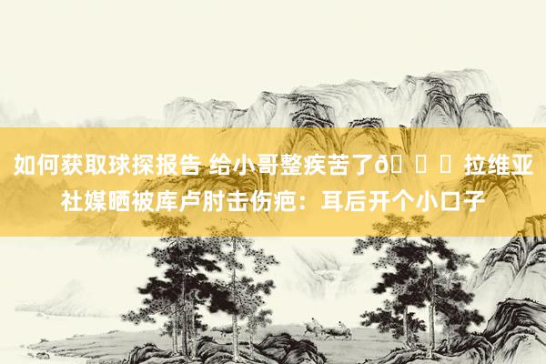 如何获取球探报告 给小哥整疾苦了😅拉维亚社媒晒被库卢肘击伤疤：耳后开个小口子