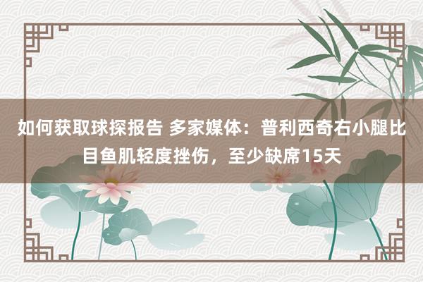 如何获取球探报告 多家媒体：普利西奇右小腿比目鱼肌轻度挫伤，至少缺席15天