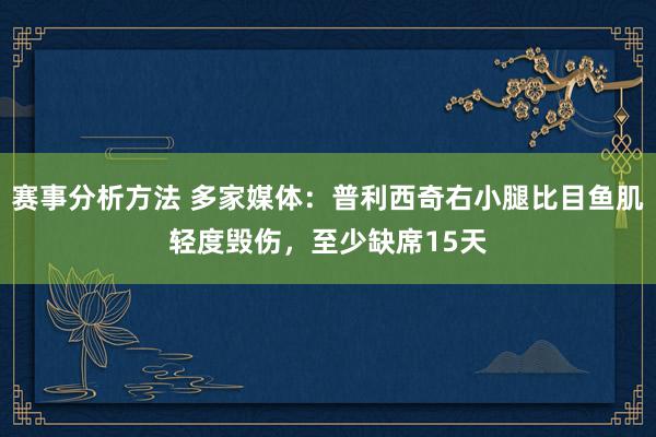 赛事分析方法 多家媒体：普利西奇右小腿比目鱼肌轻度毁伤，至少缺席15天