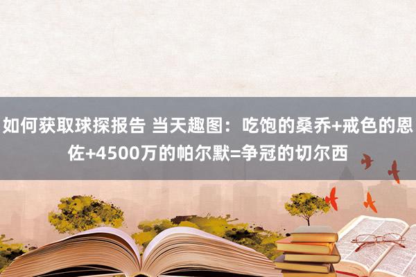 如何获取球探报告 当天趣图：吃饱的桑乔+戒色的恩佐+4500万的帕尔默=争冠的切尔西