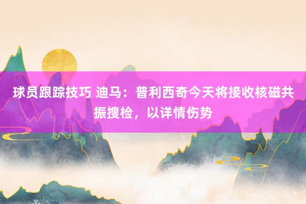 球员跟踪技巧 迪马：普利西奇今天将接收核磁共振搜检，以详情伤势