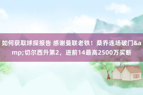 如何获取球探报告 感谢曼联老铁！桑乔连场破门&切尔西升第2，进前14最高2500万买断