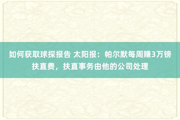 如何获取球探报告 太阳报：帕尔默每周赚3万镑扶直费，扶直事务由他的公司处理