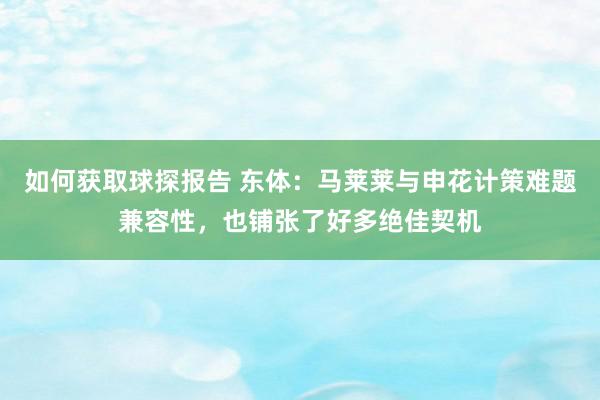 如何获取球探报告 东体：马莱莱与申花计策难题兼容性，也铺张了好多绝佳契机