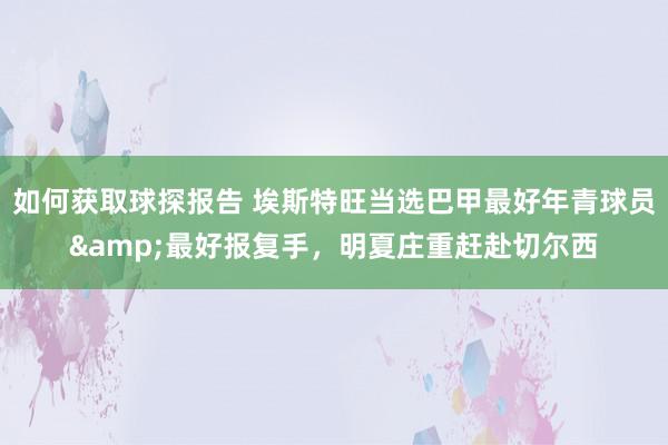 如何获取球探报告 埃斯特旺当选巴甲最好年青球员&最好报复手，明夏庄重赶赴切尔西