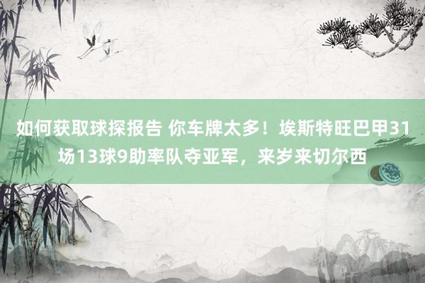 如何获取球探报告 你车牌太多！埃斯特旺巴甲31场13球9助率队夺亚军，来岁来切尔西