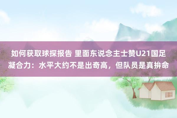 如何获取球探报告 里面东说念主士赞U21国足凝合力：水平大约不是出奇高，但队员是真拚命