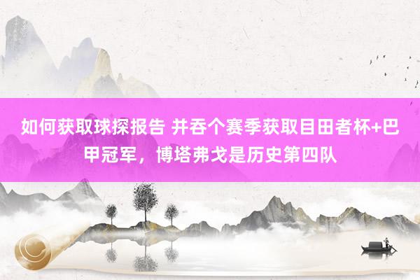 如何获取球探报告 并吞个赛季获取目田者杯+巴甲冠军，博塔弗戈是历史第四队