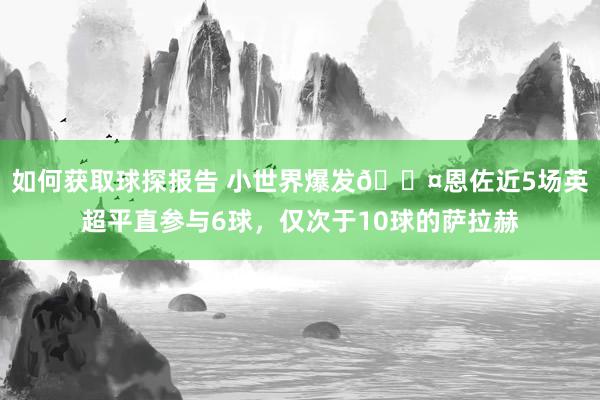 如何获取球探报告 小世界爆发😤恩佐近5场英超平直参与6球，仅次于10球的萨拉赫