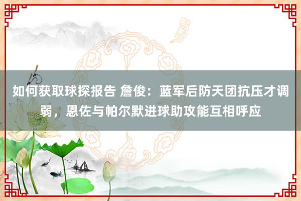 如何获取球探报告 詹俊：蓝军后防天团抗压才调弱，恩佐与帕尔默进球助攻能互相呼应