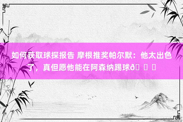 如何获取球探报告 摩根推奖帕尔默：他太出色了，真但愿他能在阿森纳踢球👍