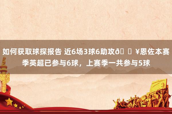 如何获取球探报告 近6场3球6助攻🔥恩佐本赛季英超已参与6球，上赛季一共参与5球