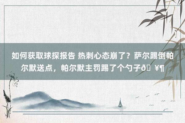 如何获取球探报告 热刺心态崩了？萨尔踢倒帕尔默送点，帕尔默主罚踢了个勺子🥶