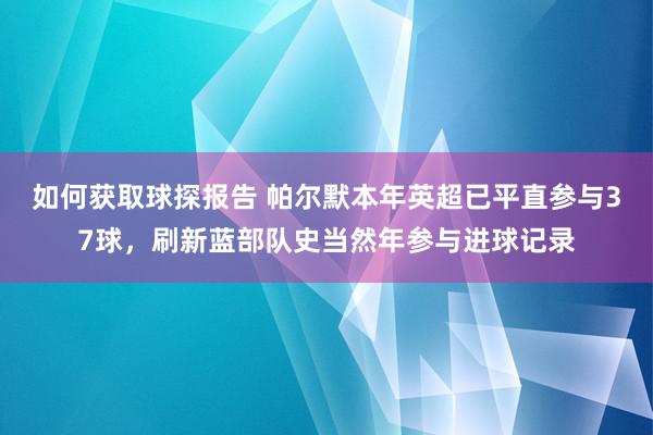 如何获取球探报告 帕尔默本年英超已平直参与37球，刷新蓝部队史当然年参与进球记录