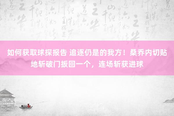 如何获取球探报告 追逐仍是的我方！桑乔内切贴地斩破门扳回一个，连场斩获进球