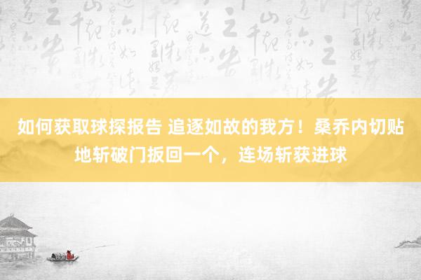 如何获取球探报告 追逐如故的我方！桑乔内切贴地斩破门扳回一个，连场斩获进球