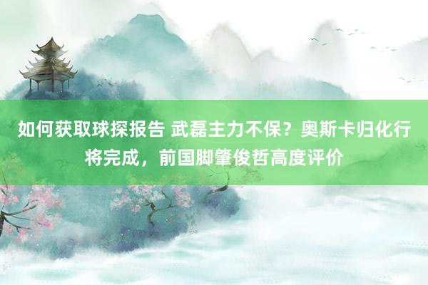 如何获取球探报告 武磊主力不保？奥斯卡归化行将完成，前国脚肇俊哲高度评价