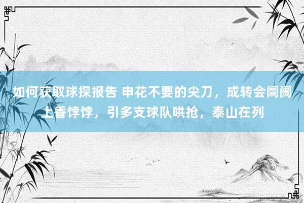 如何获取球探报告 申花不要的尖刀，成转会阛阓上香饽饽，引多支球队哄抢，泰山在列