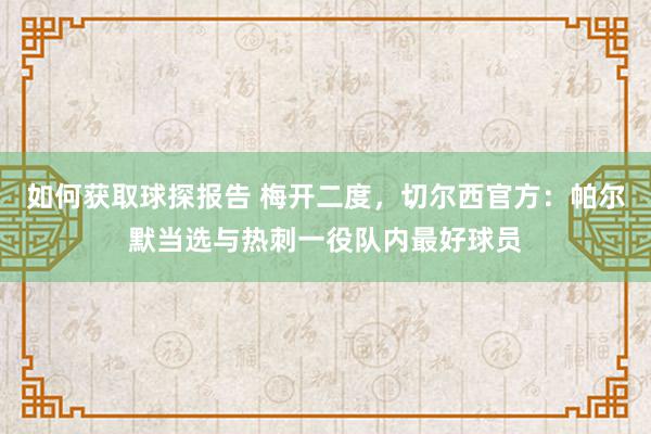 如何获取球探报告 梅开二度，切尔西官方：帕尔默当选与热刺一役队内最好球员